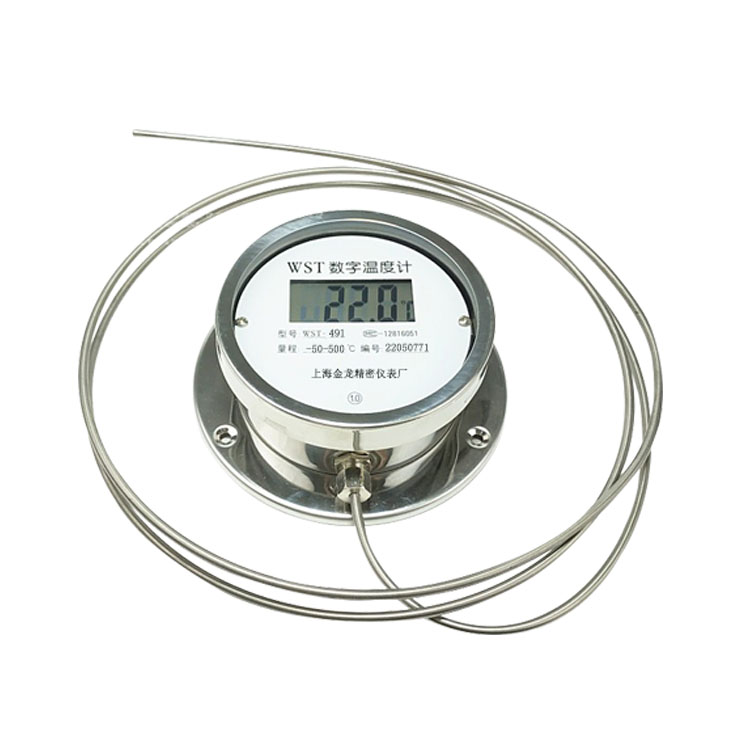 铠装数显温度计测油温膏药WST-491测温-50-500℃
